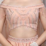 Peach Embroidered Blouse with Lehenga