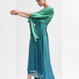 Ombre Printed Lustrous Satin Dress
