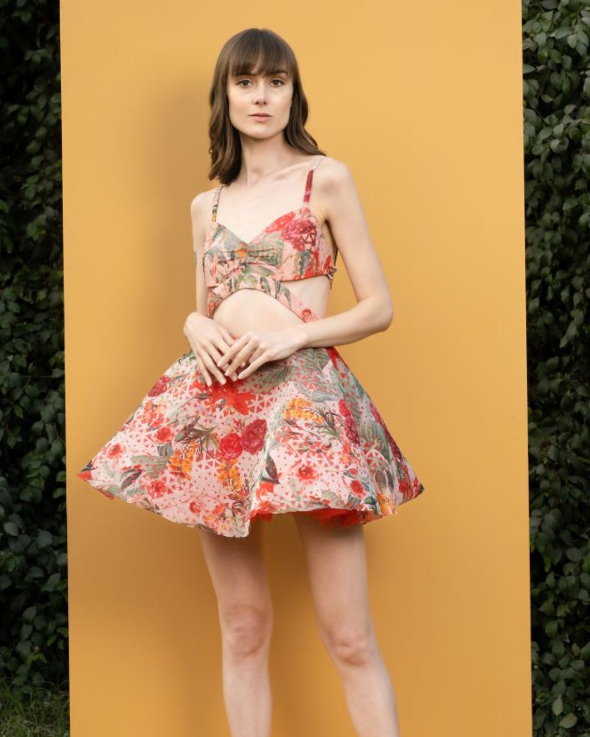 Dahlia bouquet printed Cutwork organza printed short dress with cutouts