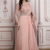 Blush Pink Gown With Heavy Embroidered Upper Bodice
