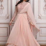 Blush Pink Gown With Heavy Embroidered Upper Bodice