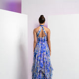 Pancy Daisy Maxi Dress