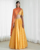 Lehenga set with printed blouse
