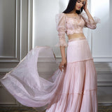 Soft Peach Dori Embroidered Lehenga Set