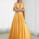 Lehenga Set With Printed Blouse