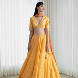 Lehenga Set With Printed Blouse