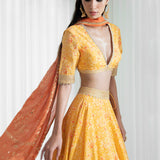 Lehenga Set With Printed Blouse