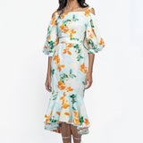 Cotton Poplin Printed Midi Dress