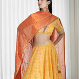 Lehenga Set With Printed Blouse