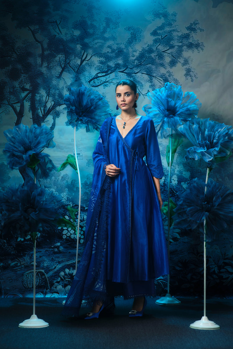 Indigo Anarkali set with printed dupatta