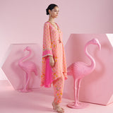 Blush Harmony Asymmetrical Kurta Set