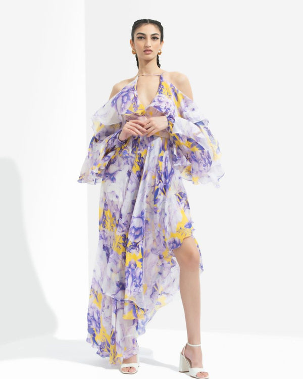 Sumire Printed Butterfly Dress