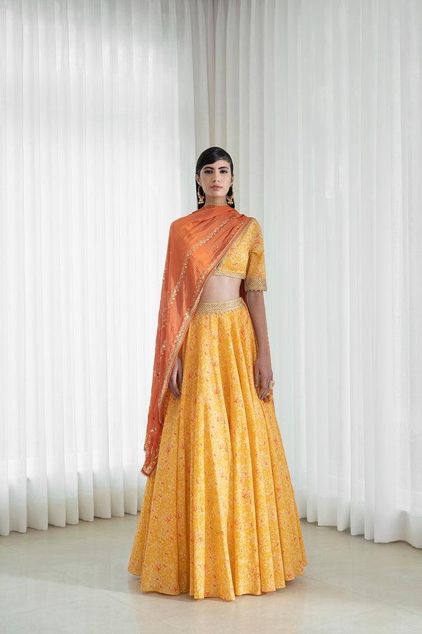 Lehenga set with printed blouse