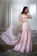 Soft Peach Dori Embroidered Lehenga Set