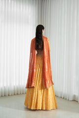 Lehenga set with printed blouse