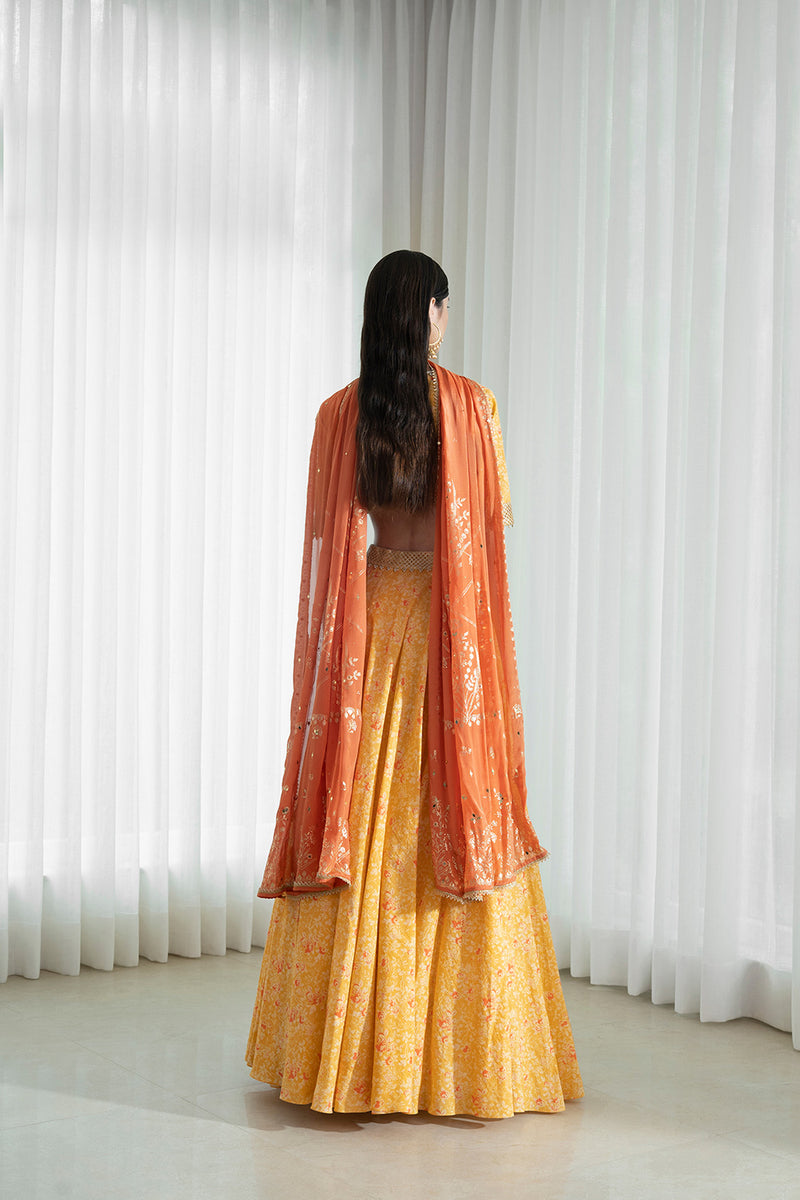 Lehenga set with printed blouse