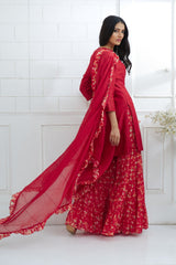 Red Embroidered Kurta And Sharara Set