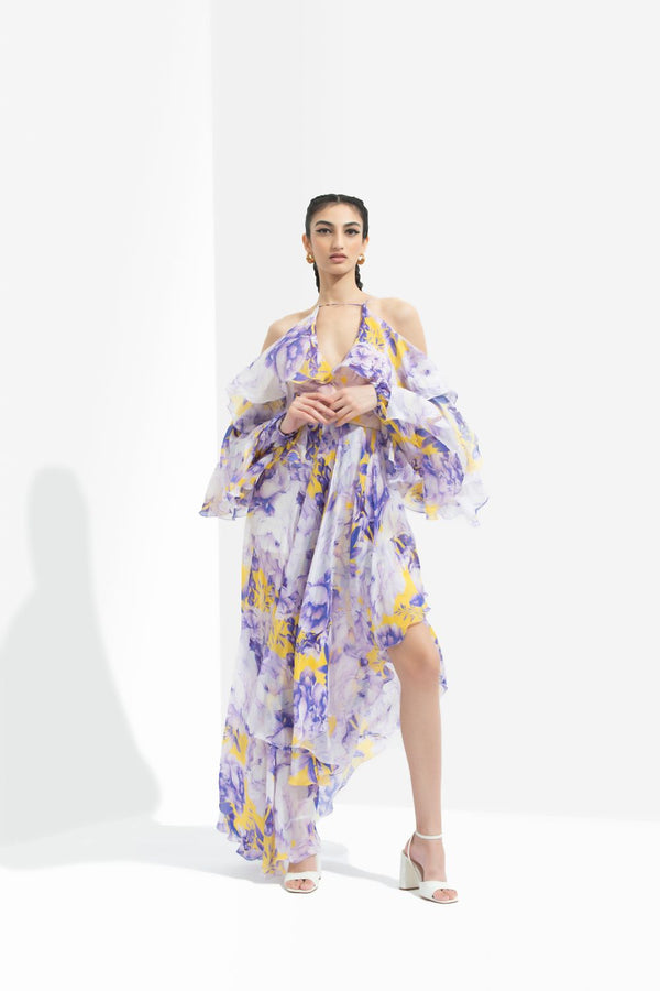 Sumire Printed Butterfly Dress