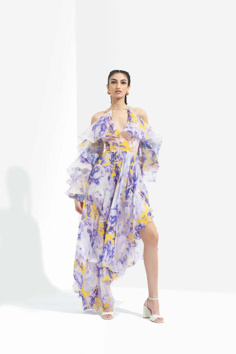 Sumire Printed Butterfly Dress