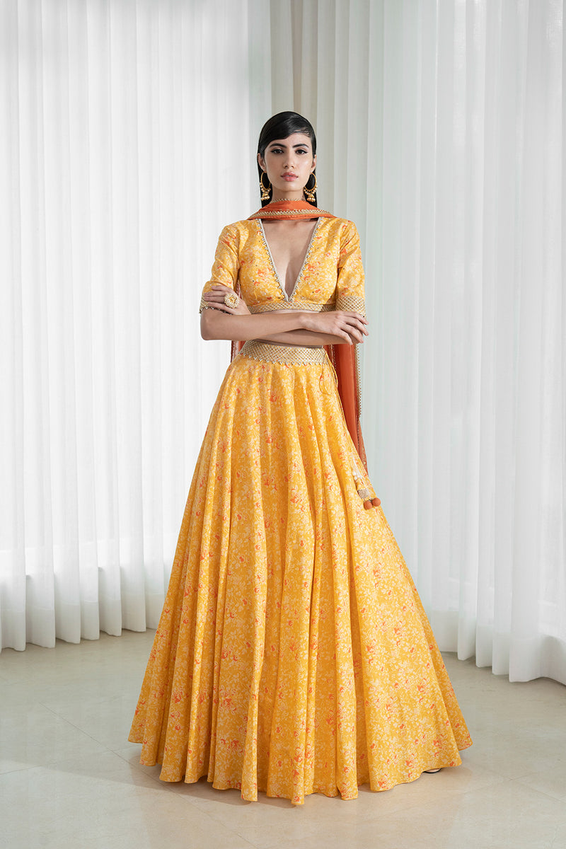 Lehenga set with printed blouse