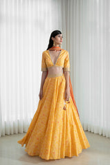 Lehenga set with printed blouse
