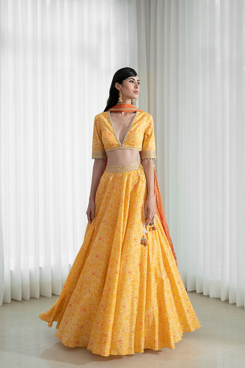 Lehenga set with printed blouse