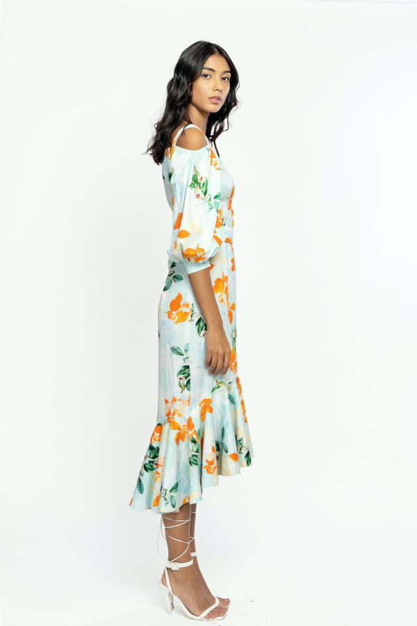 Cotton Poplin Printed Midi Dress