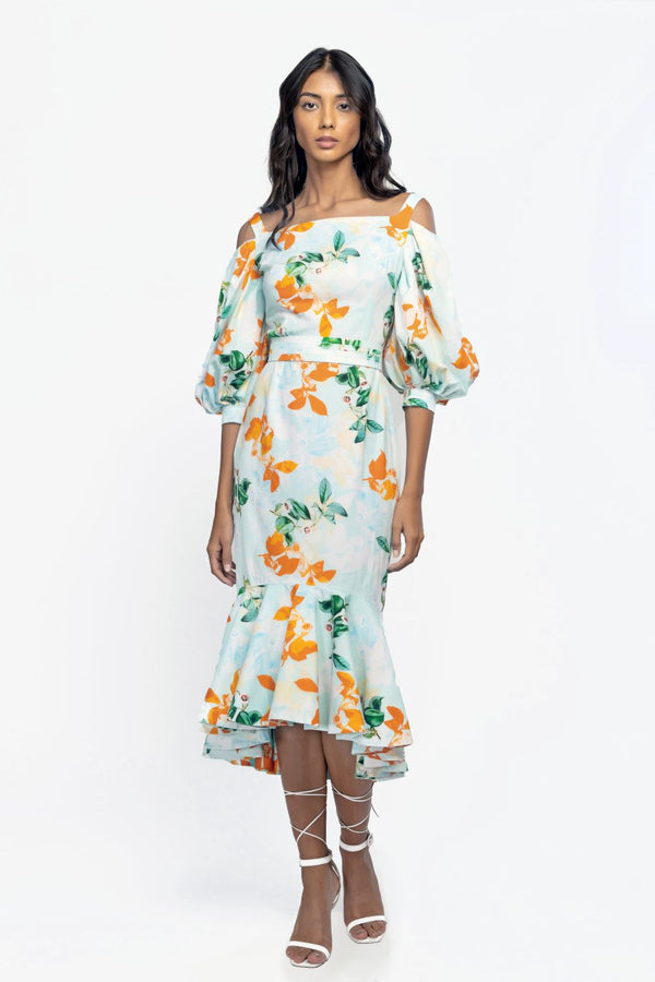 Cotton Poplin Printed Midi Dress