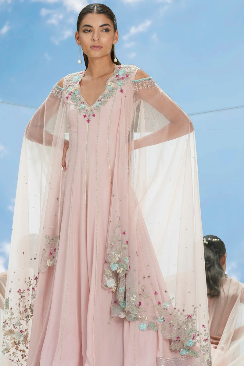 Carnation Kalidar
