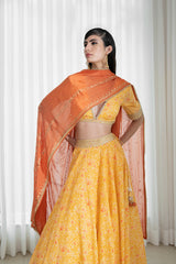 Lehenga set with printed blouse